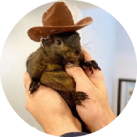 PNUT